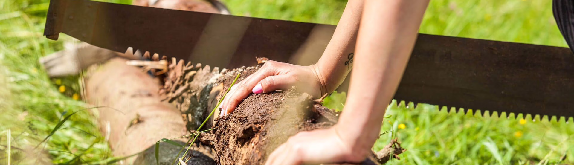 Jomar sk Den prezitia 005