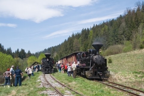 Ciernohronska zelenicka Nizke Tatry
